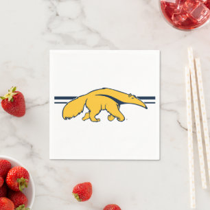Universiteit van Californië, Irvine Anteater Servet