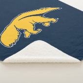 Universiteit van Californië, Irvine Anteater Sherpa Deken (3/4)