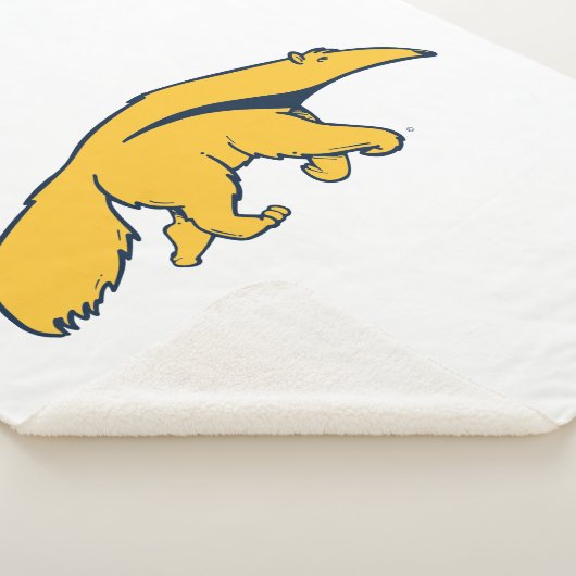 Universiteit van Californië, Irvine Anteater Sherpa Deken (3/4)