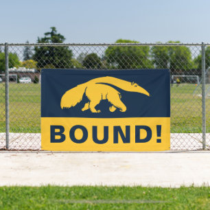 Universiteit van Californië, Irvine Anteater Spandoek