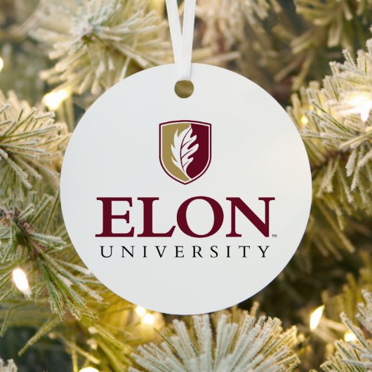 Universiteit van Elon Metalen Ornament (Insitu)