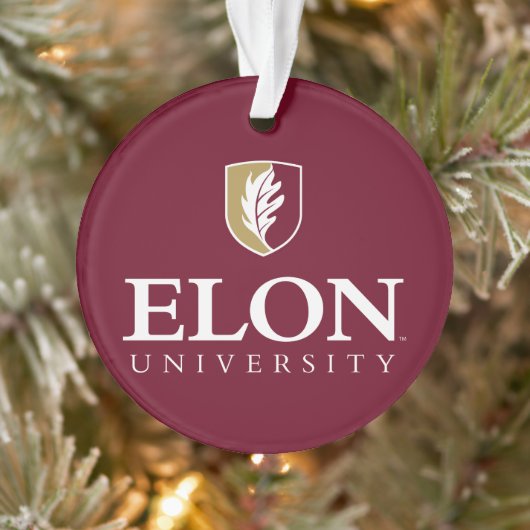 Universiteit van Elon Ornament (Boom)