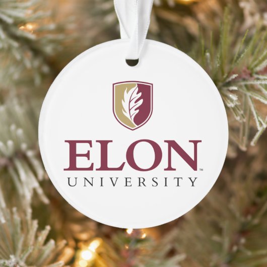 Universiteit van Elon Ornament (Boom)