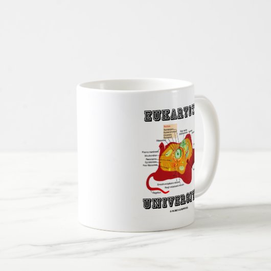 Universiteit van Eukaryote Diercel Anatomie Koffiemok (Voorkant rechts)