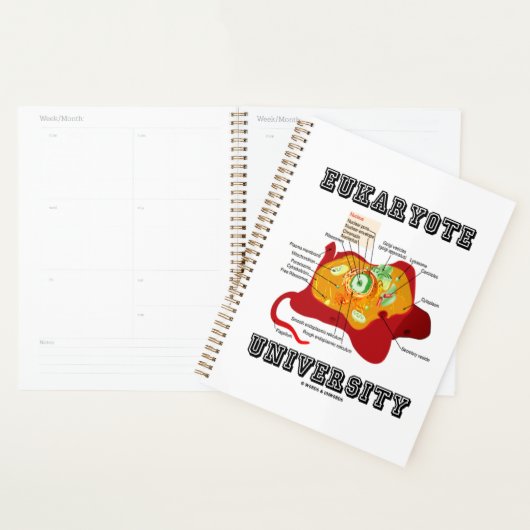 Universiteit van Eukaryote Diercel Anatomie Planner (Display)