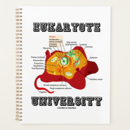 Universiteit van Eukaryote Diercel Anatomie Planner