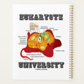 Universiteit van Eukaryote Diercel Anatomie Planner (Achterkant)