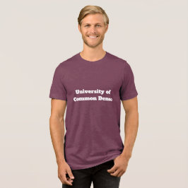 Universiteit van Gewone Dichtheid | Grappig | Tri-Blend Shirt