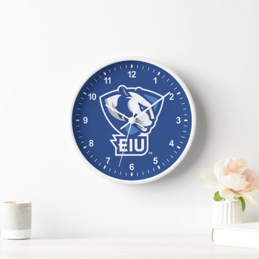 Universiteit van Illinois Panthers Logo (Huis)