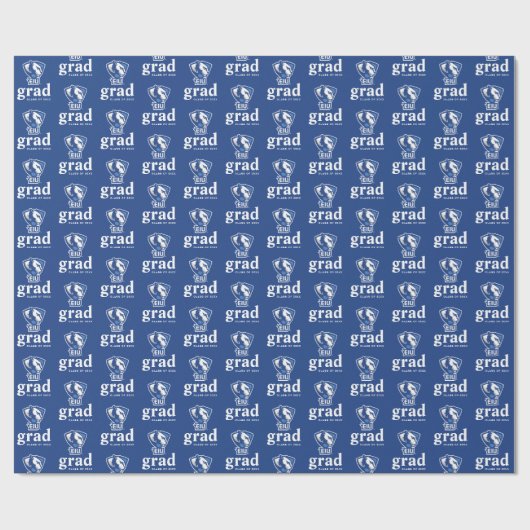 Universiteit van Illinois Panthers Logo Cadeaupapier (Vlak)