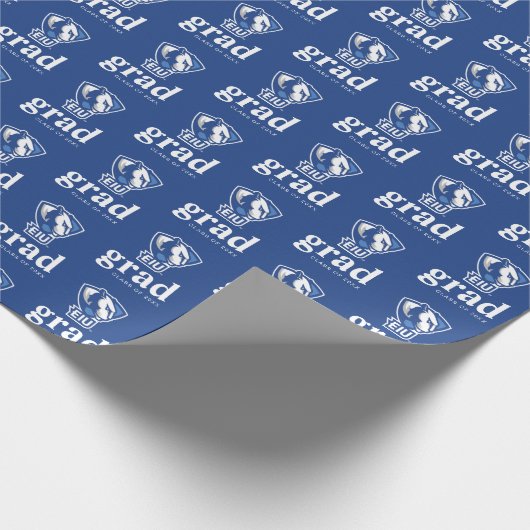 Universiteit van Illinois Panthers Logo Cadeaupapier (Hoek)