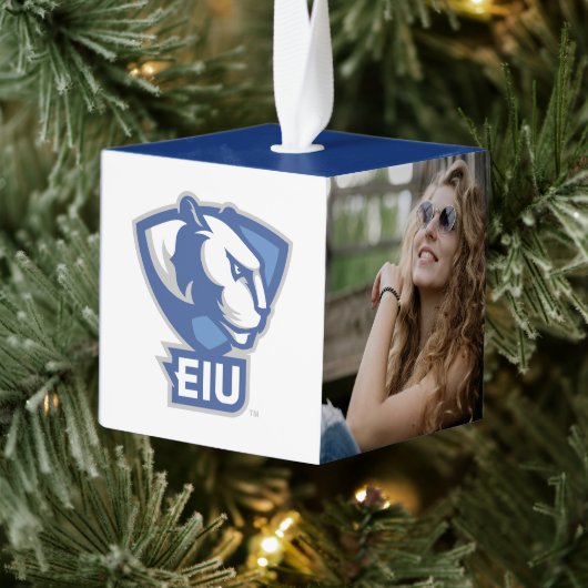 Universiteit van Illinois Panthers Logo Decoratie (Boom)