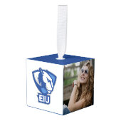 Universiteit van Illinois Panthers Logo Decoratie (Voorkant hoekig)