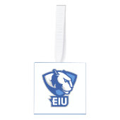 Universiteit van Illinois Panthers Logo Decoratie (Voorkant)