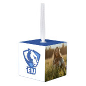 Universiteit van Illinois Panthers Logo Decoratie (Achter hoekig)