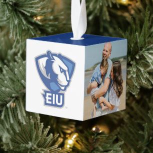 Universiteit van Illinois Panthers Logo Decoratie