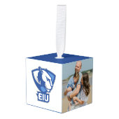 Universiteit van Illinois Panthers Logo Decoratie (Voorkant hoekig)