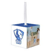 Universiteit van Illinois Panthers Logo Decoratie (Achter hoekig)