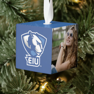 Universiteit van Illinois Panthers Logo Decoratie