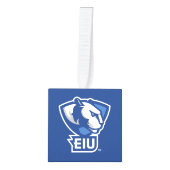Universiteit van Illinois Panthers Logo Decoratie (Voorkant)