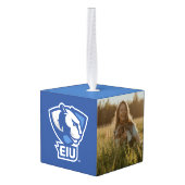 Universiteit van Illinois Panthers Logo Decoratie (Achter hoekig)