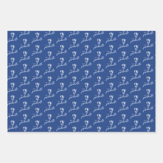 Universiteit van Illinois Panthers Logo Inpakpapier Vel (Voorkant 2)