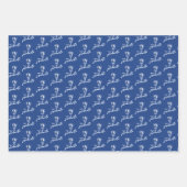 Universiteit van Illinois Panthers Logo Inpakpapier Vel (Voorkant)