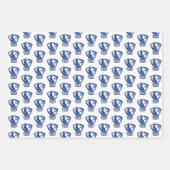 Universiteit van Illinois Panthers Logo Inpakpapier Vel (Voorkant)