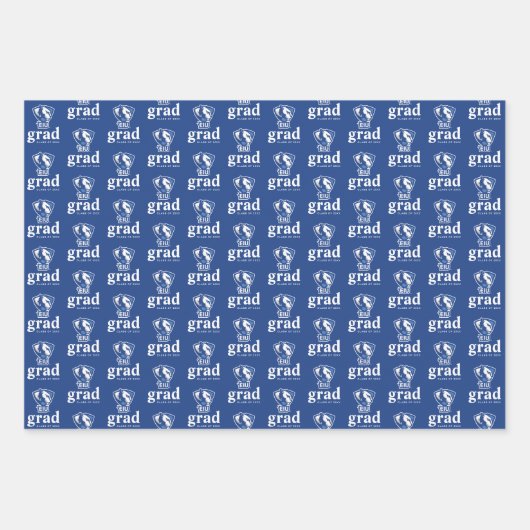 Universiteit van Illinois Panthers Logo Inpakpapier Vel (Voorkant)