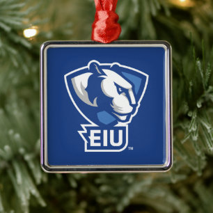 Universiteit van Illinois Panthers Logo Metalen Ornament