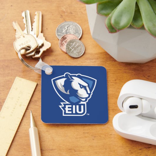Universiteit van Illinois Panthers Logo Sleutelhanger (Bureau)