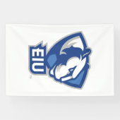 Universiteit van Illinois Panthers Logo Spandoek (Horizontaal)