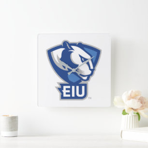 Universiteit van Illinois Panthers Logo Vierkante Klok