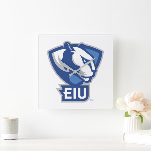 Universiteit van Illinois Panthers Logo Vierkante Klok (Huis)