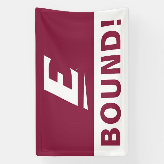 Universiteit van Oost-Kentucky E Spandoek (Verticaal)