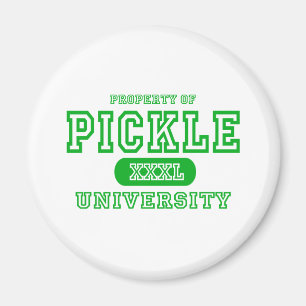 Universiteit van Pickle Magneet