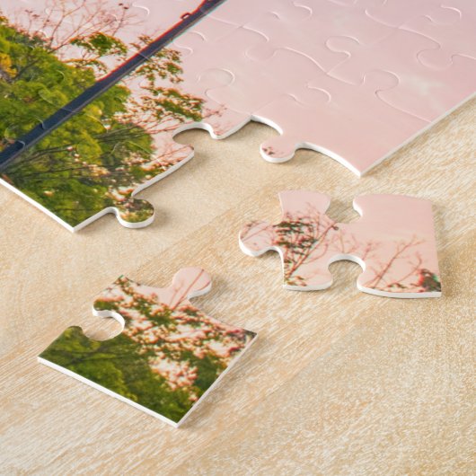 Universiteit van Pittsburgh, kathedraal van het le Legpuzzel (Zijkant)