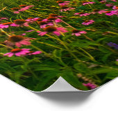 Universiteit van Pittsburgh, kathedraal van het le Poster (Hoek)