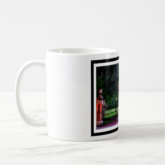 Universiteit van South Carolina Mok (Links)