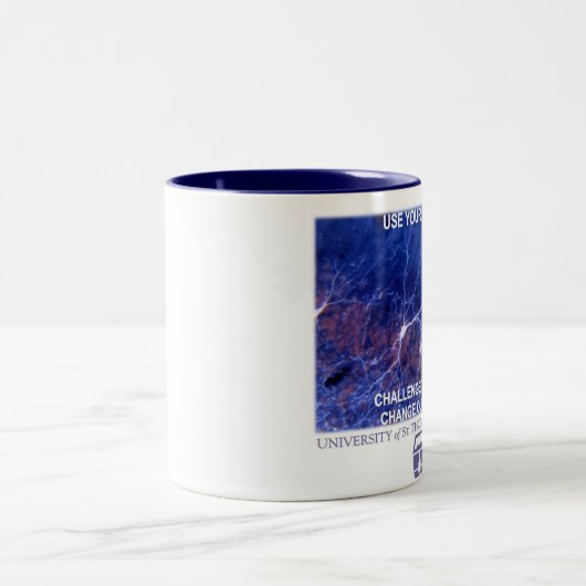 Universiteit van St Thomas Neuroscience Mok (Center)