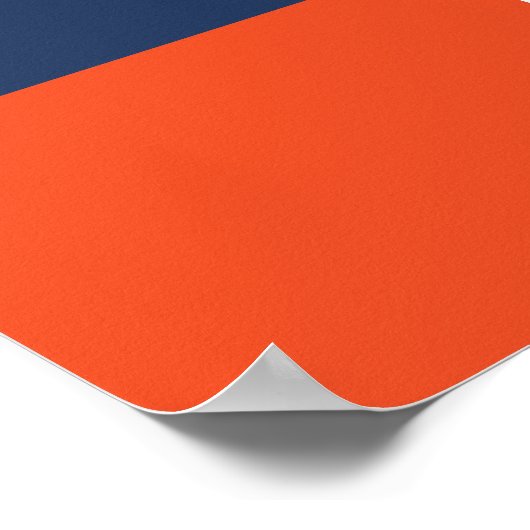 Universiteit van Virginia 2020 Afstuderen Poster (Hoek)