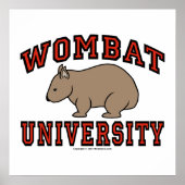 Universiteit van Wombat Poster (Voorkant)
