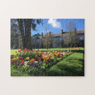 University College Cork Ireland Puzzle Legpuzzel