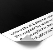 University of California, Irvine, april 1967 Poster (Hoek)