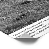 University of California, Santa Cruz, 1963 Poster (Hoek)