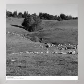 University of California, Santa Cruz, 1963 Poster (Voorkant)