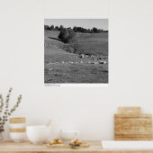 University of California, Santa Cruz, 1963 Poster (Keuken)