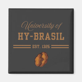 University of Hy-Brasil, Est. 1325 Magneet