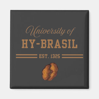 University of Hy-Brasil, Est. 1325 Magneet
