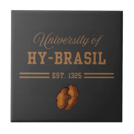 University of Hy-Brasil, Est. 1325 Tegeltje